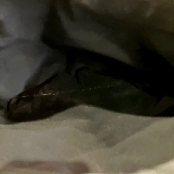 Furla FURLA Next Leather Bag Tote Ladies - Picture 6 of 9